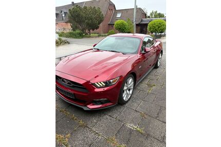 Ford Mustang Gebrauchtwagen