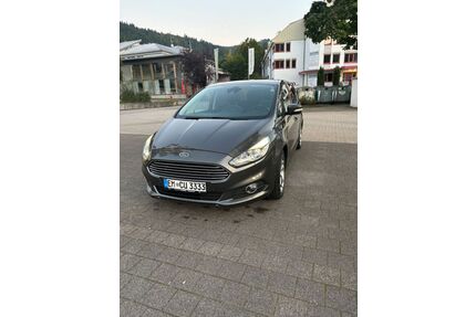 Ford S-Max Gebrauchtwagen