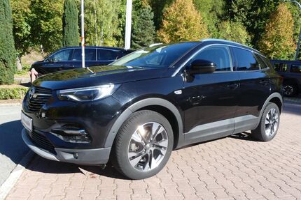 Opel Grandland (X) Gebrauchtwagen