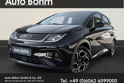 BYD DOLPHIN Gebrauchtwagen