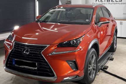 Lexus NX 300 Gebrauchtwagen