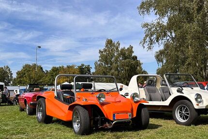 VW Buggy Gebrauchtwagen