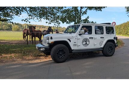 Jeep Wrangler Gebrauchtwagen