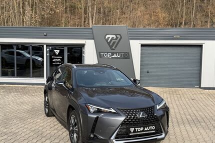Lexus UX Gebrauchtwagen