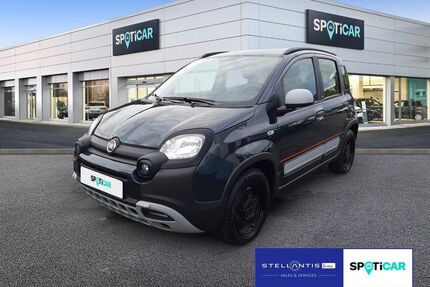 Fiat Panda Gebrauchtwagen