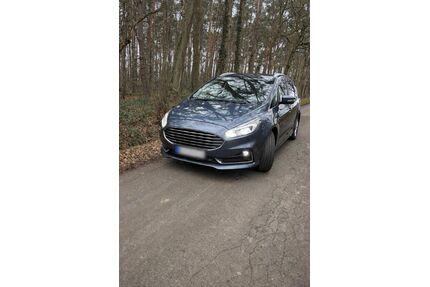 Ford S-Max Gebrauchtwagen