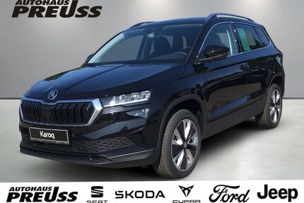 BMW Karoq 