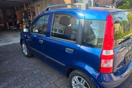Fiat Panda Gebrauchtwagen