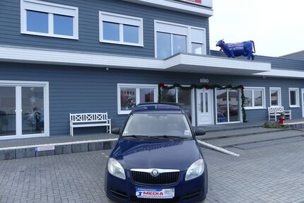 Skoda Roomster Gebrauchtwagen