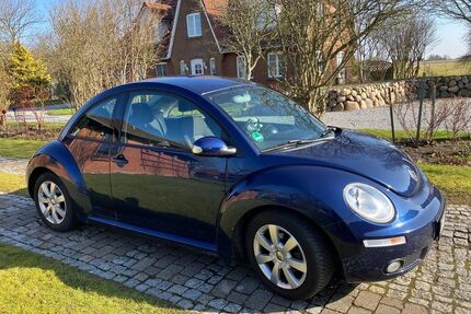 VW Beetle Gebrauchtwagen