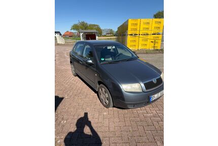 Skoda Fabia Gebrauchtwagen