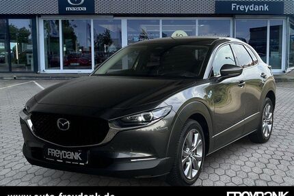 Mazda CX-30 Gebrauchtwagen