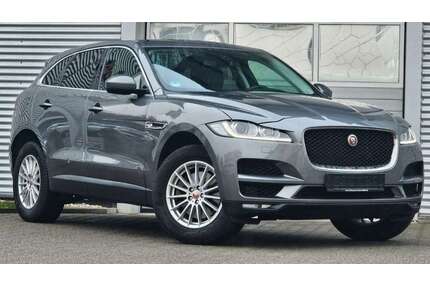 Jaguar F-Pace Gebrauchtwagen