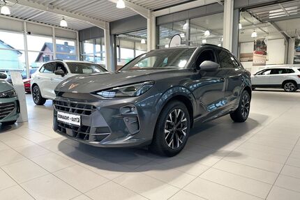 Cupra Terramar Gebrauchtwagen