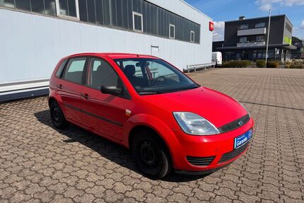 Ford Fiesta Gebrauchtwagen