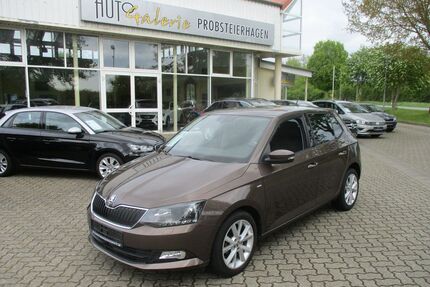 Skoda Fabia Gebrauchtwagen