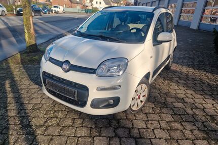 Fiat Panda Gebrauchtwagen