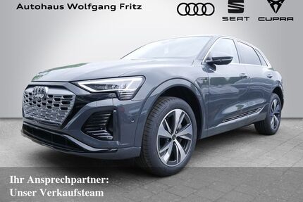 Audi Q8 e-tron Gebrauchtwagen