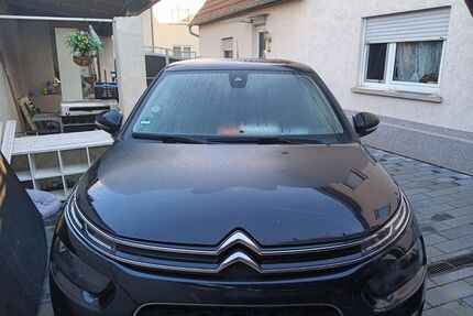 Citroen C4 Cactus Gebrauchtwagen