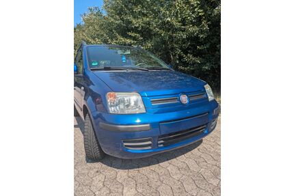 Fiat Panda Gebrauchtwagen