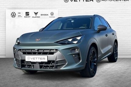 Cupra Terramar Gebrauchtwagen