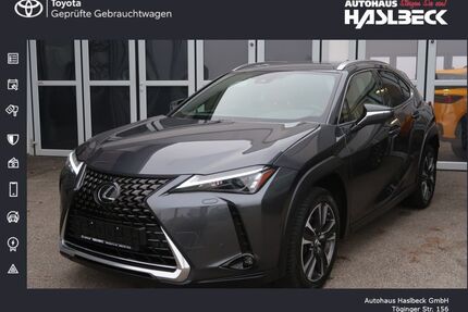 Lexus UX Gebrauchtwagen