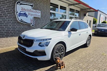 Skoda Kamiq Gebrauchtwagen