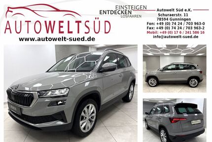 Skoda Karoq Gebrauchtwagen