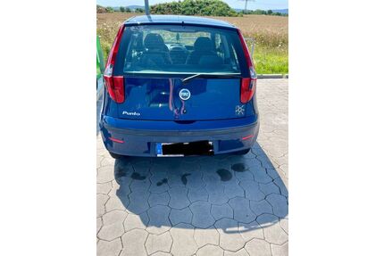 Fiat Punto Gebrauchtwagen