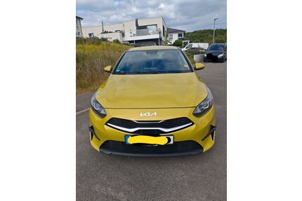 Kia ceed / Ceed Gebrauchtwagen