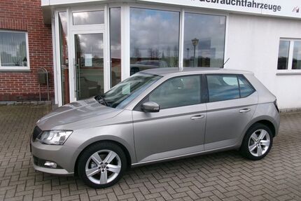 Skoda Fabia Gebrauchtwagen
