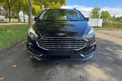 Ford S-Max Gebrauchtwagen