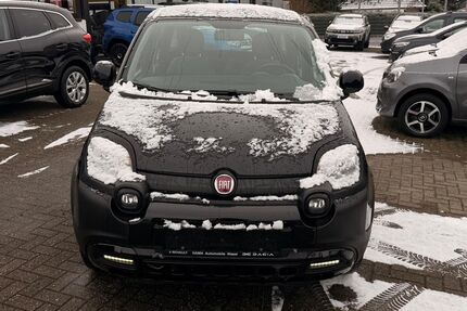 Fiat Panda Gebrauchtwagen
