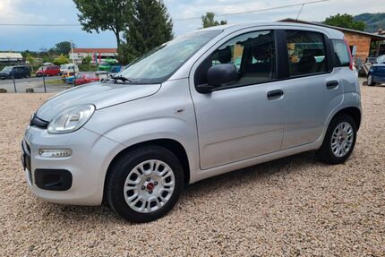 Fiat Panda Gebrauchtwagen