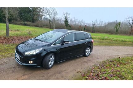 Ford S-Max Gebrauchtwagen