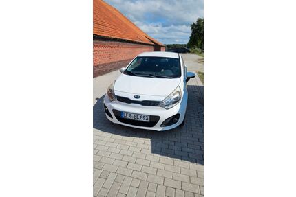 Kia Rio Gebrauchtwagen