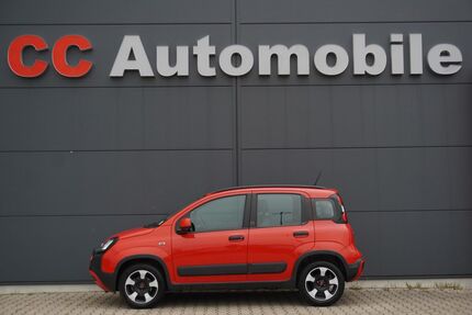 Fiat Panda Gebrauchtwagen