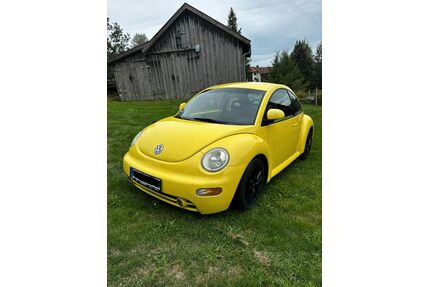 VW New Beetle Gebrauchtwagen
