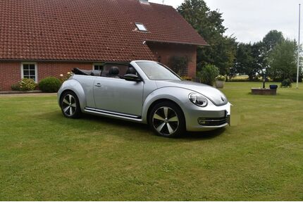 VW Beetle Gebrauchtwagen