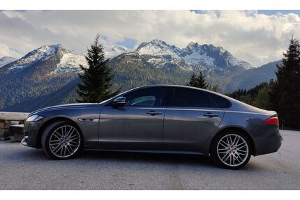 Jaguar XF Gebrauchtwagen
