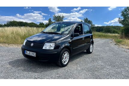 Fiat Panda Gebrauchtwagen