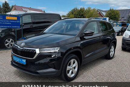 Skoda Karoq Gebrauchtwagen