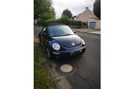VW Beetle Gebrauchtwagen