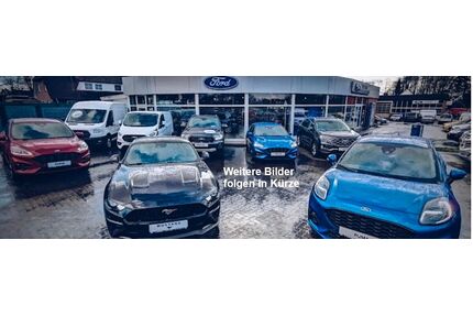 Ford Transit Custom Gebrauchtwagen