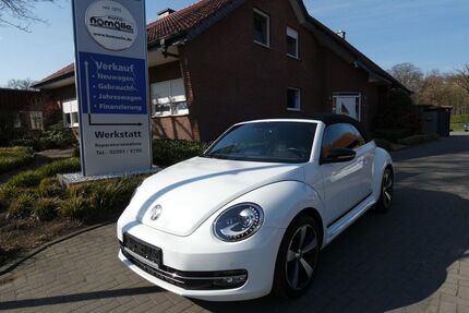 VW Beetle Gebrauchtwagen