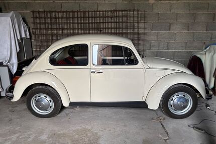 VW Käfer Gebrauchtwagen