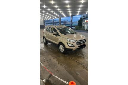 Ford EcoSport Gebrauchtwagen