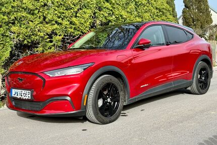 Ford Mustang Mach-E Gebrauchtwagen