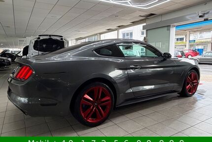 Ford Mustang Gebrauchtwagen