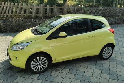Ford Ka/Ka+ Gebrauchtwagen